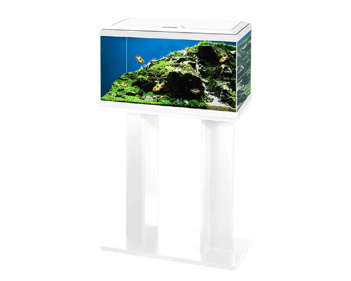 CIANO Aquarium 60